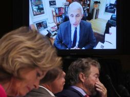 Senadores en Washington escuchan a  Anthony Fauci que intervino de forma remota en la audiencia ante un comité legislativo. AP/W. McNamee