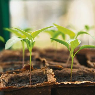 La magia del reciclaje