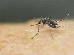 + Informador: Las noticias del 14 de mayo de 2020