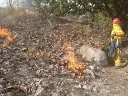 Hay incendios forestales activos en los municipios de Zapopan, Tlajomulco de Zúñiga, San Sebastián del Oeste, Tala, Mezquitic, Bolaños, Tequila, Tecalitlán y Cuautitlán de García Barragán. ESPECIAL