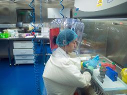 Aunque el desarrollo de una vacuna contra la nueva cepa de coronavirus podría tardar entre uno y dos años, según expertos, este tipo de tratamientos resultan una solución provisional. AFP/J. Eisele