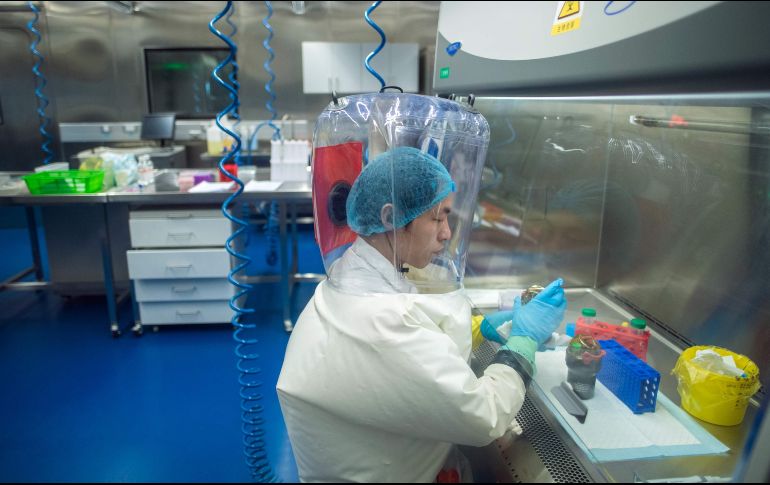 Aunque el desarrollo de una vacuna contra la nueva cepa de coronavirus podría tardar entre uno y dos años, según expertos, este tipo de tratamientos resultan una solución provisional. AFP/J. Eisele