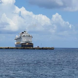 Desembarcan 86 mexicanos en Cozumel y Puerto Vallarta