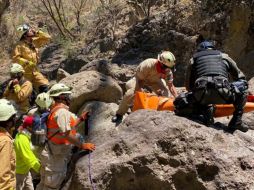 El cuerpo es llevado a las instalaciones del Instituto Jalisciense de Ciencias Forenses en espera de practicarle la autopsia de Ley. ESPECIAL/Policía de Zapopan