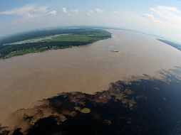 En el acumulado del año, la tala de árboles en la Amazonía alcanzó mil 073 kilómetros cuadrados. EFE/Archivo