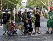 Personas venden hojas de eucalipto este martes en una avenida de Managua; habitantes consideran que el consumo de esta planta ayuda a prevenir el COVID-19. EFE/J. Torres
