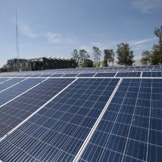 Senadores del Partido Verde se desmarcan de acciones federales de energía