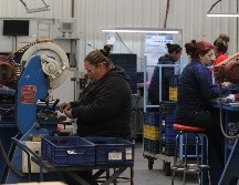 Las empresas de entre 501 y mil asegurados se redujeron en 10 patrones. EL INFORMADOR / ARCHIVO