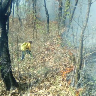 Surge incendio en el Cerro Viejo en Acatlán