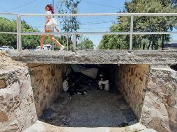 Hace 10 años estimaba que el canal se inundaba una o dos veces, pero ahora puede inundarse hasta siete veces durante la temporada de lluvia. EL INFORMADOR / G. Gallo