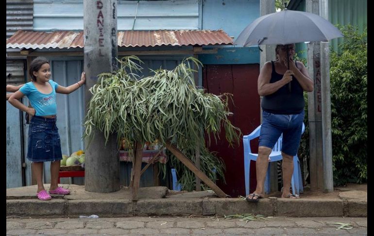 El ramo de hojas de eucalipto se vende entre uno y dos dólares en las calles del país. EFE/J. Torres