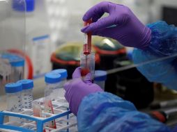 Autoridades británicas aplicarán controles aleatorios a los viajeros, que podrán ser multados con hasta mil libras. EFE/K. Wigglesworth