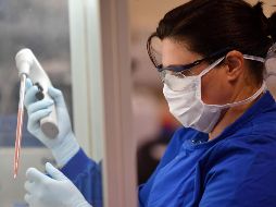 Los resultados aún no significan que la vacuna vaya a estar disponible, pero desde abril inició la Fase II. AFP / B. Stansall