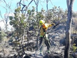 La superficie afectada sumó 317 hectáreas. TWITTER / @UMPCyBZ