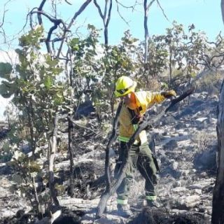 Extinguen incendio en el cerro de El Tepopote