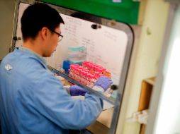 De acuerdo con los autores, el ensayo clínico demuestra “resultados prometedores” después de 28 días. AFP/T. Akmen