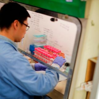 Prueba de vacuna china contra el coronavirus da resultados positivos