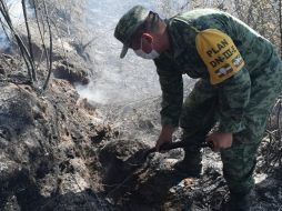 Los elementos desplegados realizaron labores de combate a incendios empleando herramientas de mano para la elaboración de brechas cortafuego. TWITTER/@SEDENAmx