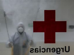 El trabajo es realizado por personal de la empresa tapatía Ozono Inocuidad Alimentaria. EL INFORMADOR/G.Gallo