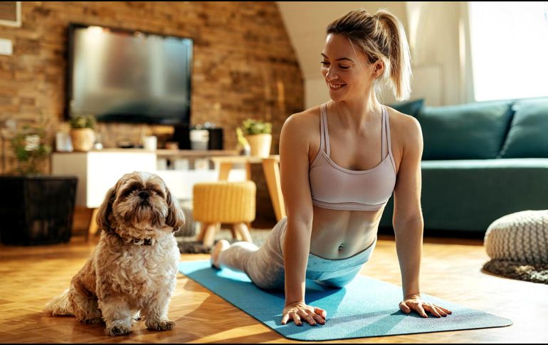 La disciplina que está de moda es la “Doga”, que en realidad es yoga para perros. ESPECIAL