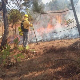 Activos, 48 incendios