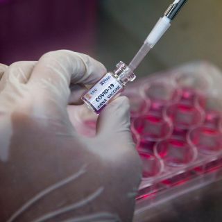 Tailandia entra en la carrera por vacunas contra el coronavirus