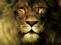 Durante este fin de semana se volvieron tendencia unos pósters que serían parte de lo que la plataforma de 