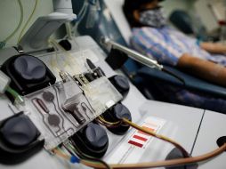 Una mujer dona su plasma sanguíneo en el Complejo Hospitalario Doctor Arnulfo Arias Madrid, en Ciudad de Panamá. EFE/B. Velasco