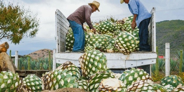 Exportaciones de M&eacute;xico se desploman en abril