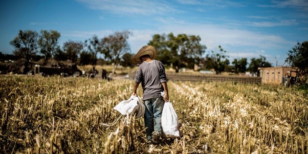 Econom&iacute;a mexicana cae 1.2% en el primer trimestre de 2020