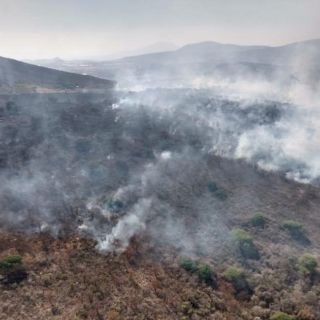 Combaten incendio en el Cerro Totoltepec, en Tlajomulco