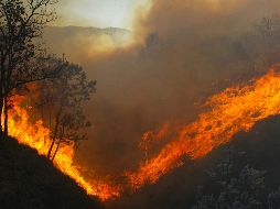 Al día de hoy se atienden 73 incendios en 16 estados, pero son Durango, Jalisco, Nayarit y Zacatecas donde se encuentran los focos rojos. EL INFORMADOR / ARCHIVO