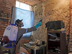 El CUCS indica que se espera que el incremento de casos por el mosquito sea de 3.5 por ciento, respecto al año pasado. SUN / ARCHIVO