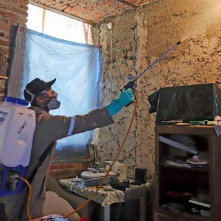 Jalisco sube a segundo lugar en casos de dengue