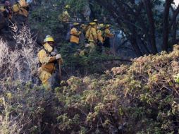 Hasta la fecha se han presentado 121 conatos de incendio en Zapopan. TWITTER/@UMPCyBZ