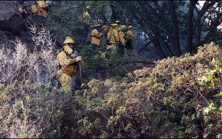 Hasta la fecha se han presentado 121 conatos de incendio en Zapopan. TWITTER/@UMPCyBZ