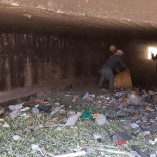 Zapopan retira llantas, animales muertos y escombro de la vía pública frente al temporal
