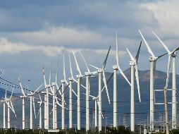 La restricción de las energías limpias como la eólica (en la imagen) incumple los compromisos internacionales firmados por México, señaló el Cemda. SUN