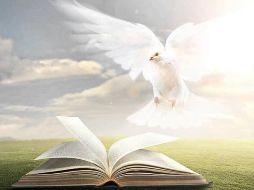 Embajadores de vida en el espíritu