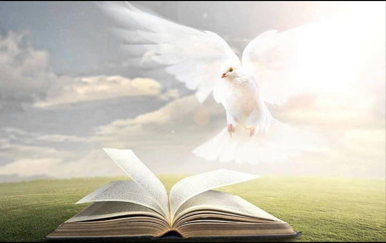 Embajadores de vida en el espíritu