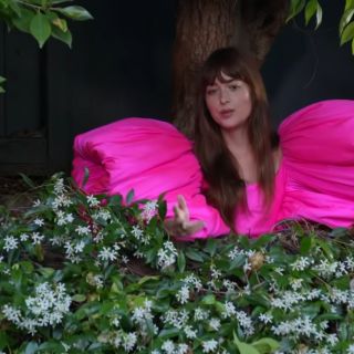 Dakota Johnson habla sobre enfrentamiento con sus vecinos