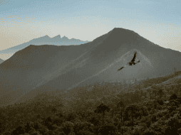 El parque había preparado la reanudación de actividades bajo la nueva normalidad a partir de este lunes. INSTAGRAM@parquechipinque