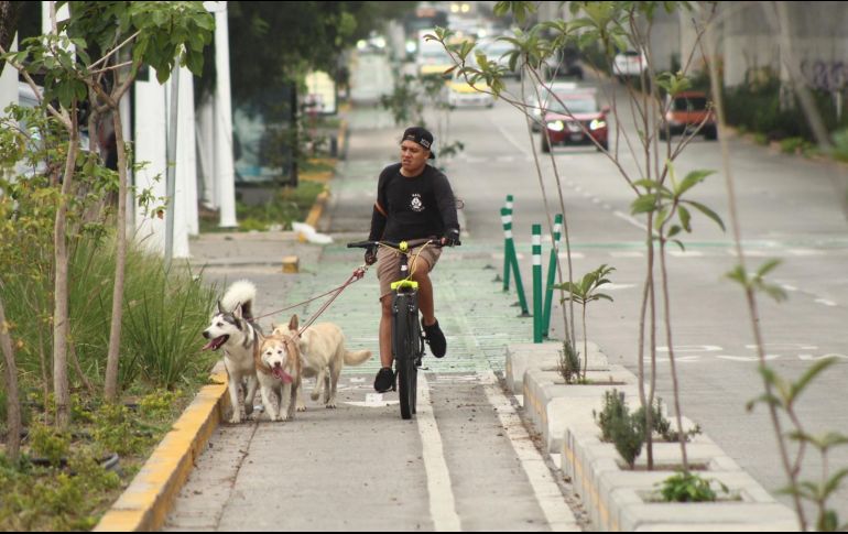 En junio del año pasado que la red de infraestructura ciclista estaba conformada por 123 kilómetros de ciclovías. EL INFORMADOR / ARCHIVO