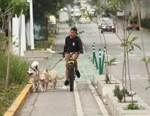 En junio del año pasado que la red de infraestructura ciclista estaba conformada por 123 kilómetros de ciclovías. EL INFORMADOR / ARCHIVO