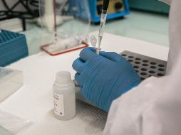 Brasil, con 555 mil 383 diagnósticos y 31 mil 199 decesos, es el segundo país con más casos de COVID-19 y el cuarto por número de fallecidos desde el comienzo de la pandemia. AFP / ARCHIVO