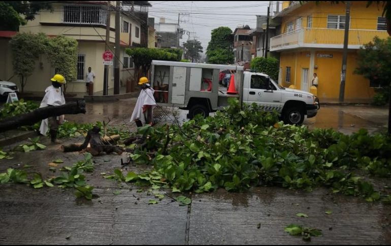 En algunas zonas de la entidad se reportó caída de árboles debido a los fuertes vientos. TWITTER/@pcivilchiapas