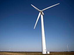 Los amparos ser iniciados de oficio por la Suprema Corte de Justicia o los Tribunales Colegiados de Circuito. EFE/Archivo