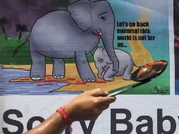 Reportes de prensa señalan que un hombre fue detenido por su presunta participación en la muerte de la elefanta. AFP / D. Sarkar