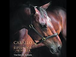 “El Caballo: esplendor y nobleza”. La fotógrafa Astrid Harrisson y la historiadora Tamsin Pickeral unen su talento para mostrar la majestuosidad y la variedad de los equinos. ESPECIAL