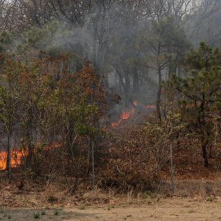 Registran 22 incendios forestales en cinco estados